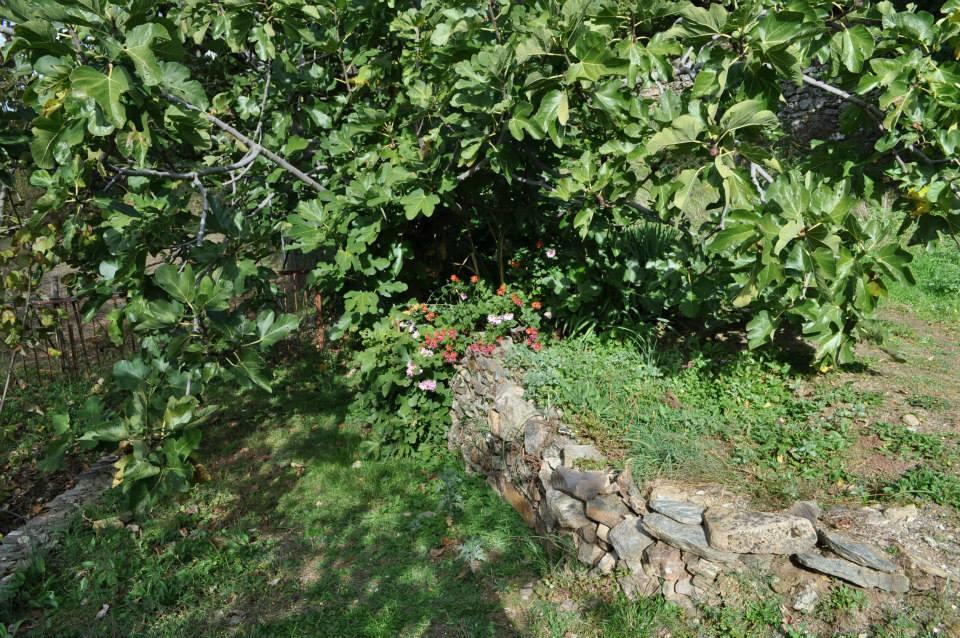 Mattale Villa Tonara Bagian luar foto