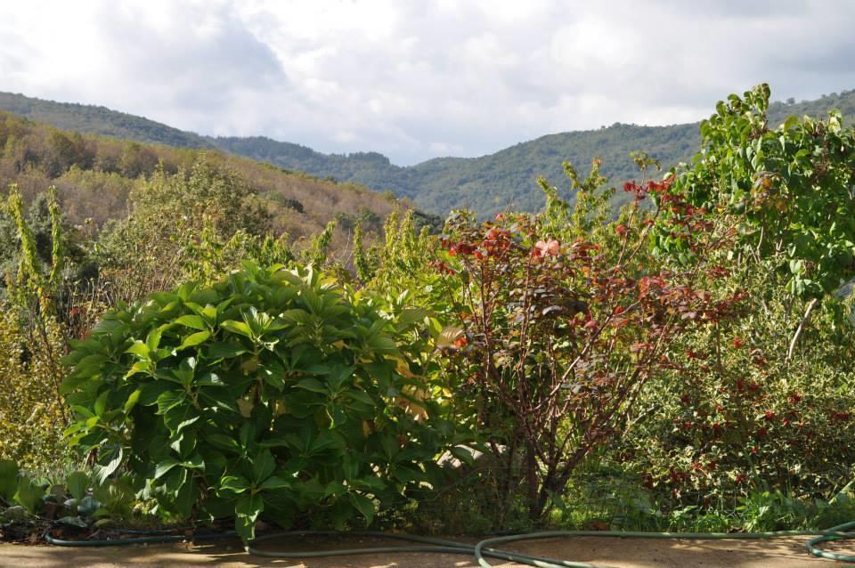 Mattale Villa Tonara Bagian luar foto