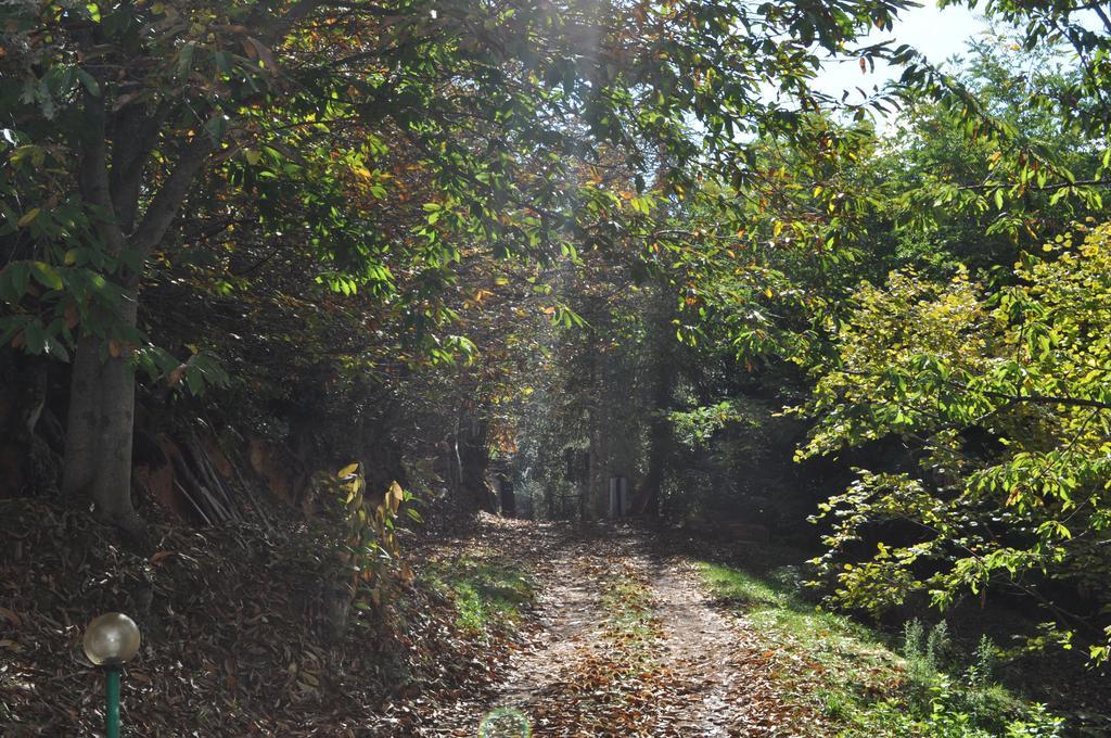 Mattale Villa Tonara Bagian luar foto