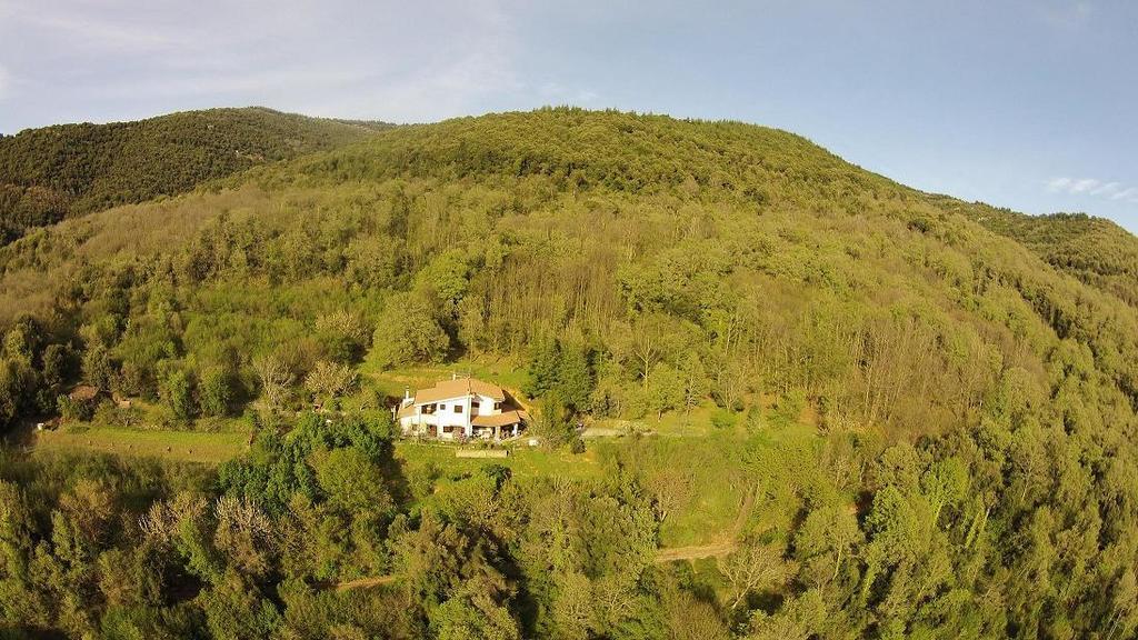 Mattale Villa Tonara Bagian luar foto